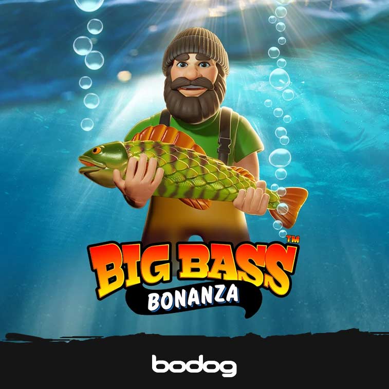 Mega.nz login