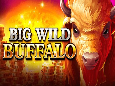 Crypto casinos
